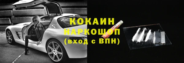 соль ск Абаза
